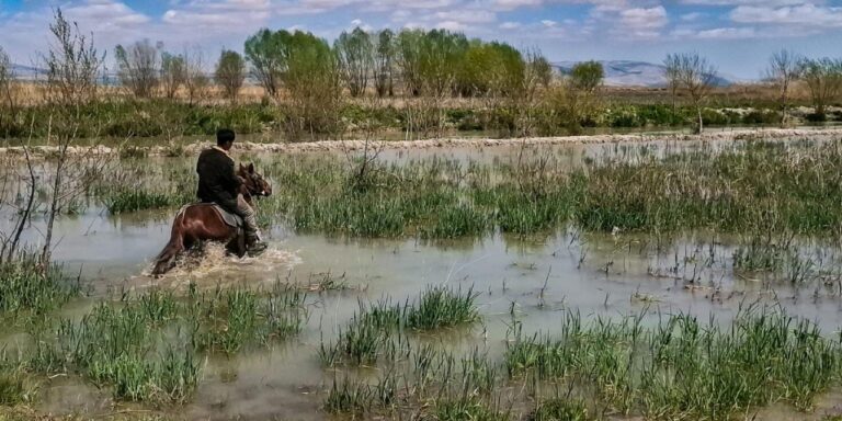 8-yildir-kurakti-nasreddin-hocanin-golu-geri-dondu-lI4lGnhd