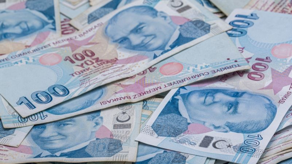 Sindirim Sistemi ve İşlevleri Hakkında Bilgiler