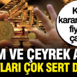 Haber gorseli